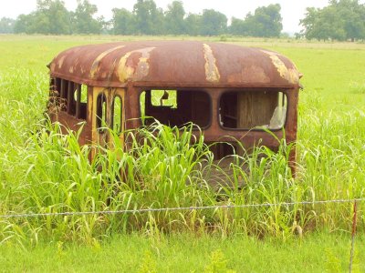 A rusting schoolbus in a McCurtain Co., Oklahoma field