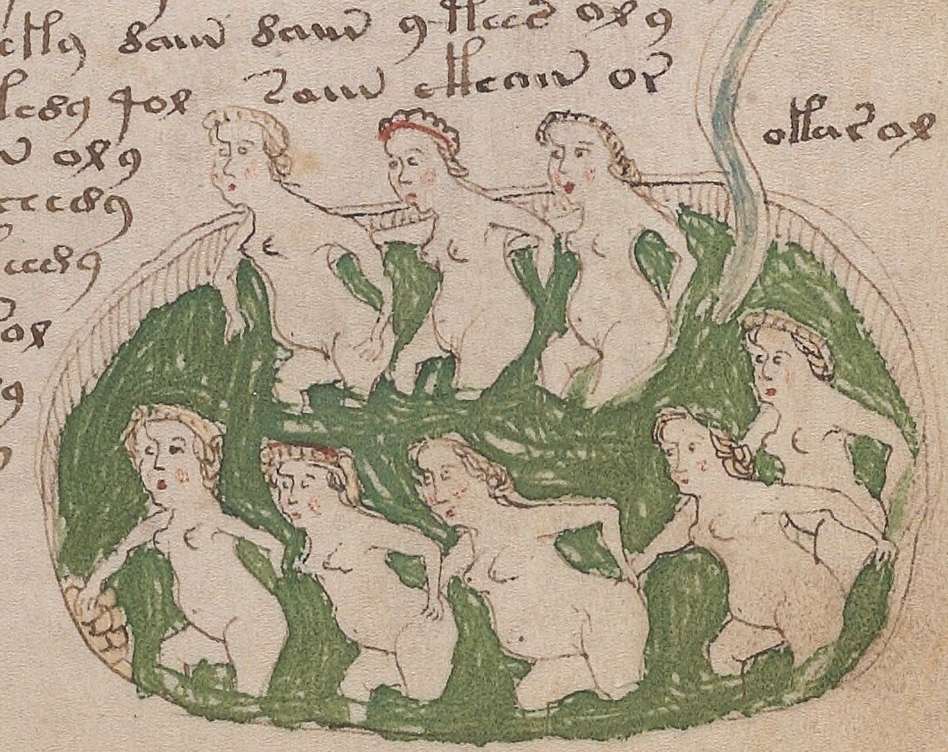 Manuscrit de Voynich