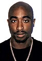 2Pac Passport (cropped).jpg