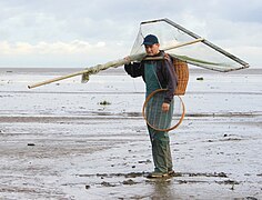 English shrimper with pushnet