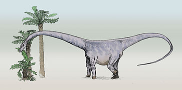 Barosaurus