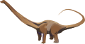 Barosaurus