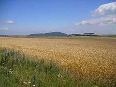 Plateau agricole en Haute-Loire.