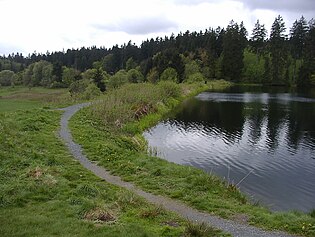 Hasenbacher Teich: Blick auf Damm und Wasserfläche von Osten