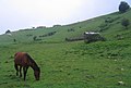 The nature of Masuleh