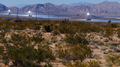 Ivanpah Solar Power Facility