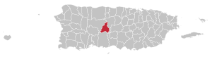 Map of Puerto Rico highlighting Jayuya Municipality