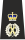 Metropolitan Police Assistant Commissioner of the Metropolis Epaulette