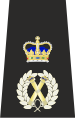 Metropolitan Police Assistant Commissioner of the Metropolis Epaulette