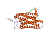 2i35: Crystal structure of rhombohedral crystal form of ground-state rhodopsin