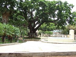 Parque municipal de Turín