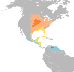      Área de nidificación     Área de nidificación (poco común)     En vuelo migratorio     Área de invernada     Área de invernada (poco común)