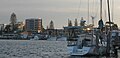 Fishing vessels moored at Tuncurry