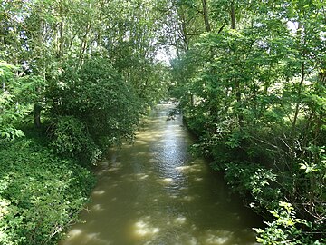 La Petite Baïse à Viozan.