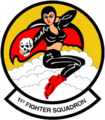 1st Fighter Squadron, United States.