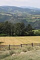 Bačevci - panorama