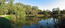 Teich im Kurpark