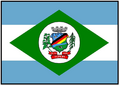 Bandeira de Toropi