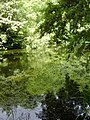 Image 77 Credit: O1ive Brockhill Country Park is dominated by a large grassy valley, bisected by the Brockhill Stream as it makes its way to the Royal Military Canal at Hythe. More about Brockhill Country Park... (from Portal:Kent/Selected pictures)