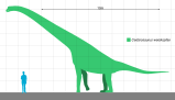 Cedarosaurus size comparison