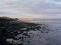 Looking north over Druridge Bay from Cresswell