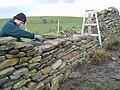 Building stone walls