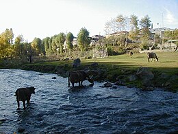 Chambarak – Veduta