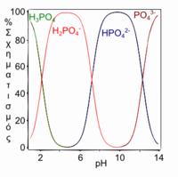 Οξέα με περισσότερα από ένα ιονίσιμα άτομα υδρογόνου λέγονται πολυπρωτικά οξέα και έχουν πολλαπλές καταστάσεις αποπρωτονίωσης, που λέγονται επίσης είδη. Αυτή η παράσταση σχεδιάζει τα σχετικά ποσοστά των διαφορετικών ειδών πρωτονίωσης του φωσφορικού οξέος Η 3 P Ο 4 ως μιας συνάρτησης του p Η του διαλύματος. Το φωσφορικό οξύ έχει τρία ιονιζόμενα άτομα υδρογόνου των οποίων τα p K A είναι χοντρικά 2, 7 και 12. Κάτω από p Η 2, το τριπλά πρωτονιωμένο είδος Η 3 P Ο 4 επικρατεί· το διπλά πρωτονιωμένο είδος Η 2 P Ο 4 πλην επικρατεί κοντά στο p Η 5· το μονοπρωτονιωμένο είδος Η P Ο 4 2 πλην επικρατεί κοντά στο p Η 9 και το απρωτονίωτο είδος P Ο 4 3 πλην επικρατεί πάνω από p Η 12
