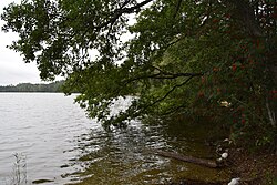 Järveotsa lake in Siimika