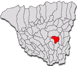 Location in Gorj County