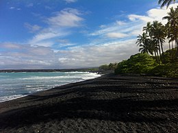 A green sea turtle on the shore of Kiholo Bay.