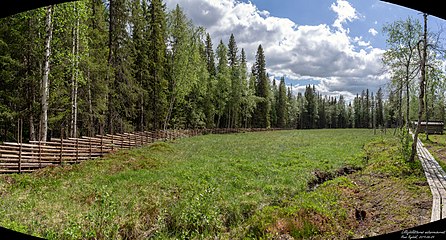 Lillsjöslåtterns naturreservat - norra silängen.