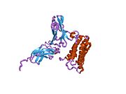 2hym: NMR based Docking Model of the Complex between the Human Type I Interferon Receptor and Human Interferon alpha-2
