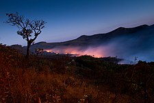 Wildfire in Serra do Gandarela National Park, Brazil Photograph: Robson de Oliveira