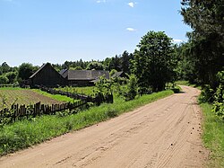 Houses by the unpaved road in Ożynnik