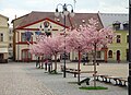 Il municipio in Piazza Náměstí Míru