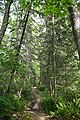 Trail on Raspberry Island