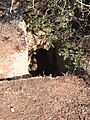 Burial tomb carved from rock in Khirbet Malkat-ha near Aviezer