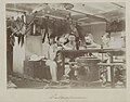 Siboga expedition group portrait in laboratory