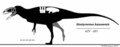 Sinotyrannus skeletal