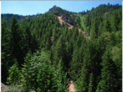 View of the Blue Ledge Mine