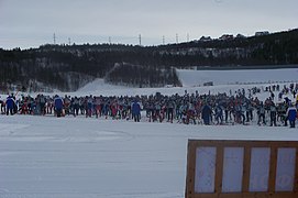 Polar Olympiada in 2013