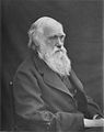 Photograph of British naturalist and biologist, Charles Darwin, c. 1874