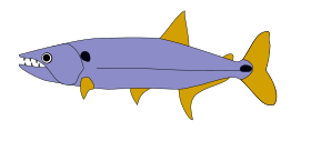 Acestrorhynchus lacustris