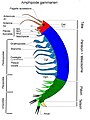 2011年2月19日 (土) 19:35時点における版のサムネイル