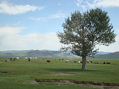 特尔赫查干湖（英语：Terkhiin Tsagaan Lake）附近的景观 (2014年)