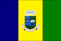 Bandeira de Bela Vista de Minas