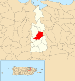 Location of Camarones within the municipality of Guaynabo shown in red