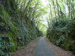 La voie verte à Carsac-Aillac.