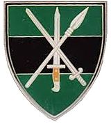 SANDF Infantry wide shoulder flash